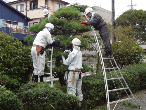 公益社団法人静岡市シルバー人材センター